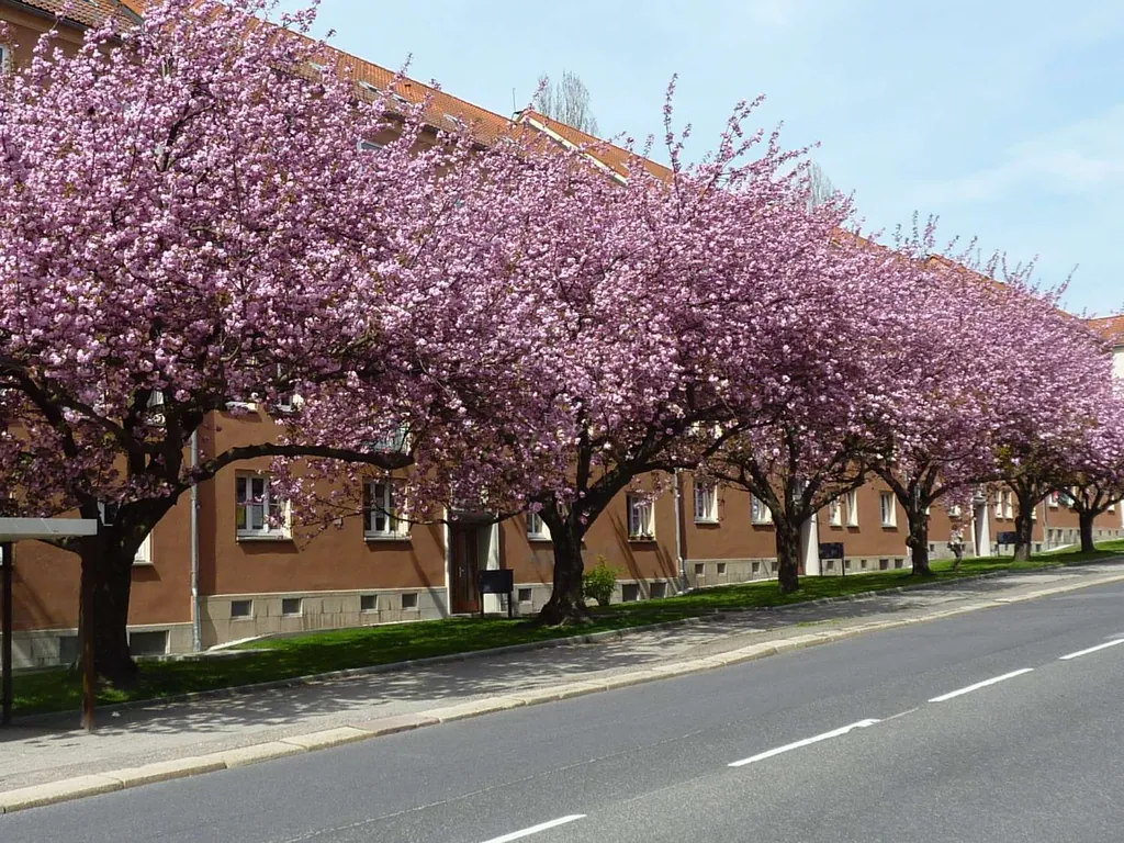 Mietwohnung in 09126 Chemnitz