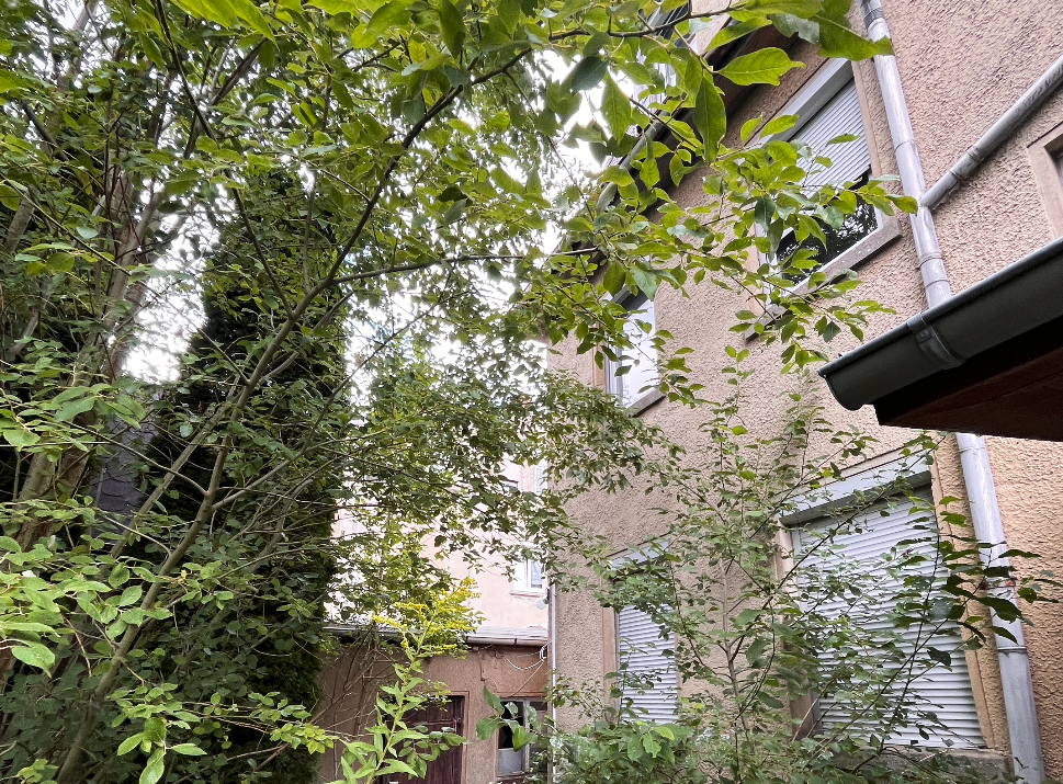 Attraktives Sanierungsobjekt mit großem Potenzial – Mehrfamilienhaus in Limbach-Oberfrohna