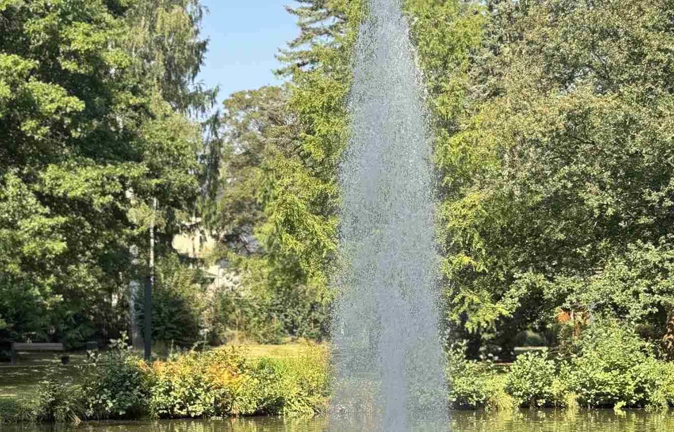 Ihr Eigenheim mit Garten: Bis zu 37.500€ Zuschuss & zinsgünstige Kredite sichern!