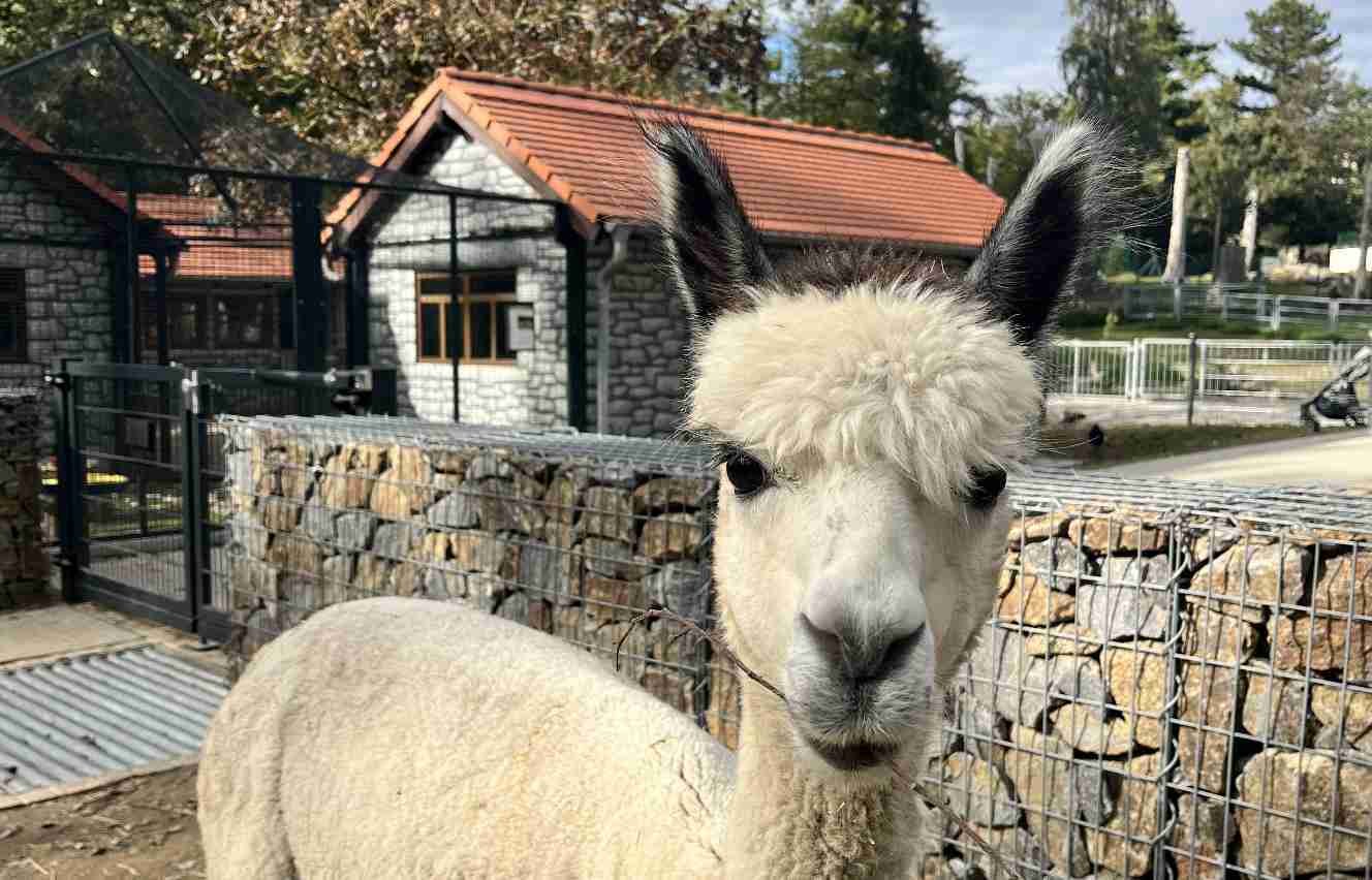 Leben wie in einem Loft: Exklusive 2,5-Raum-Wohnung mit Balkon in bester Lage am Stadtpark