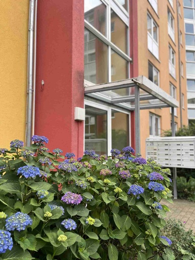 Gemütliche 2-Zimmer-Wohnung in bester Lage von Chemnitz
