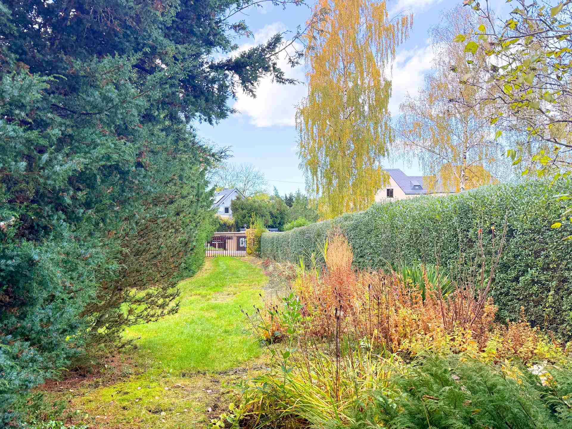 Großzügiges Baugrundstück mit Bungalow in ruhiger Lage von Chemnitz