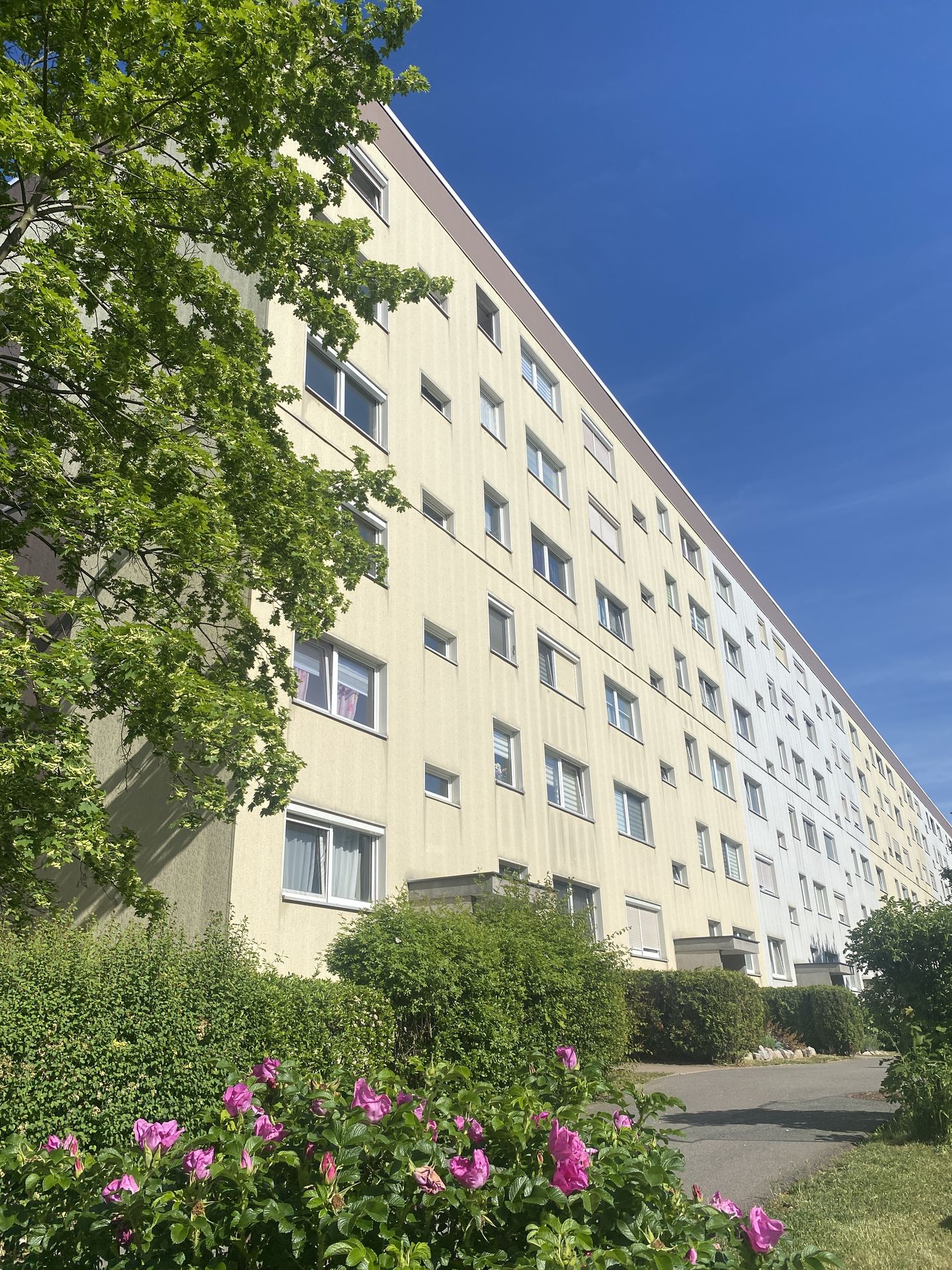 Sanierungsbedürftige 3-Raum-Wohnung in familienfreundlicher Lage