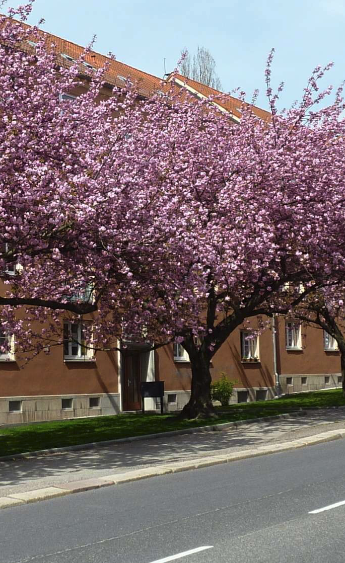 2-Zimmer-Wohnung - Wohnen in Zentrums- und Universitätsnähe