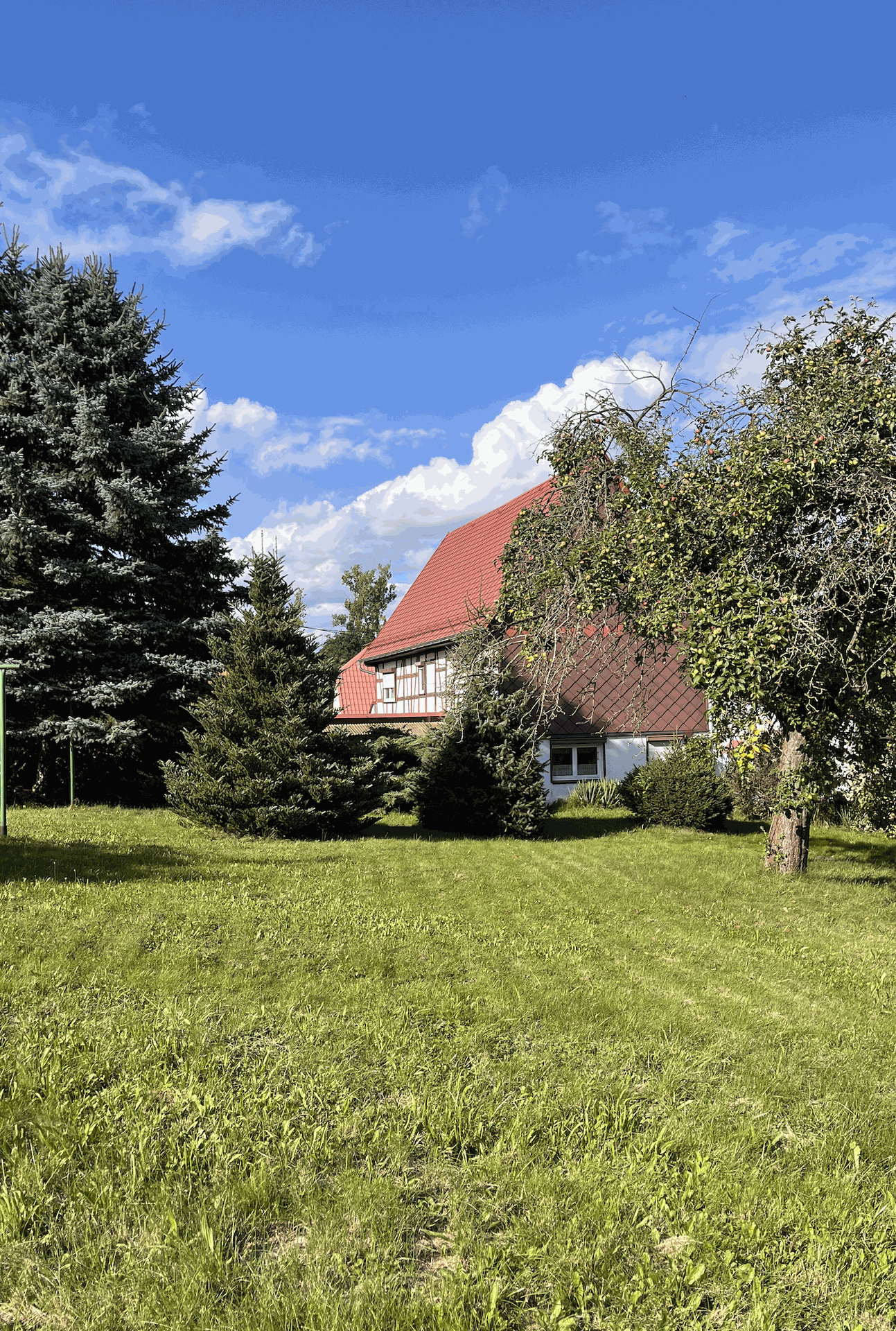 Charmantes Einfamilienhaus mit Potenzial und großem Grundstück