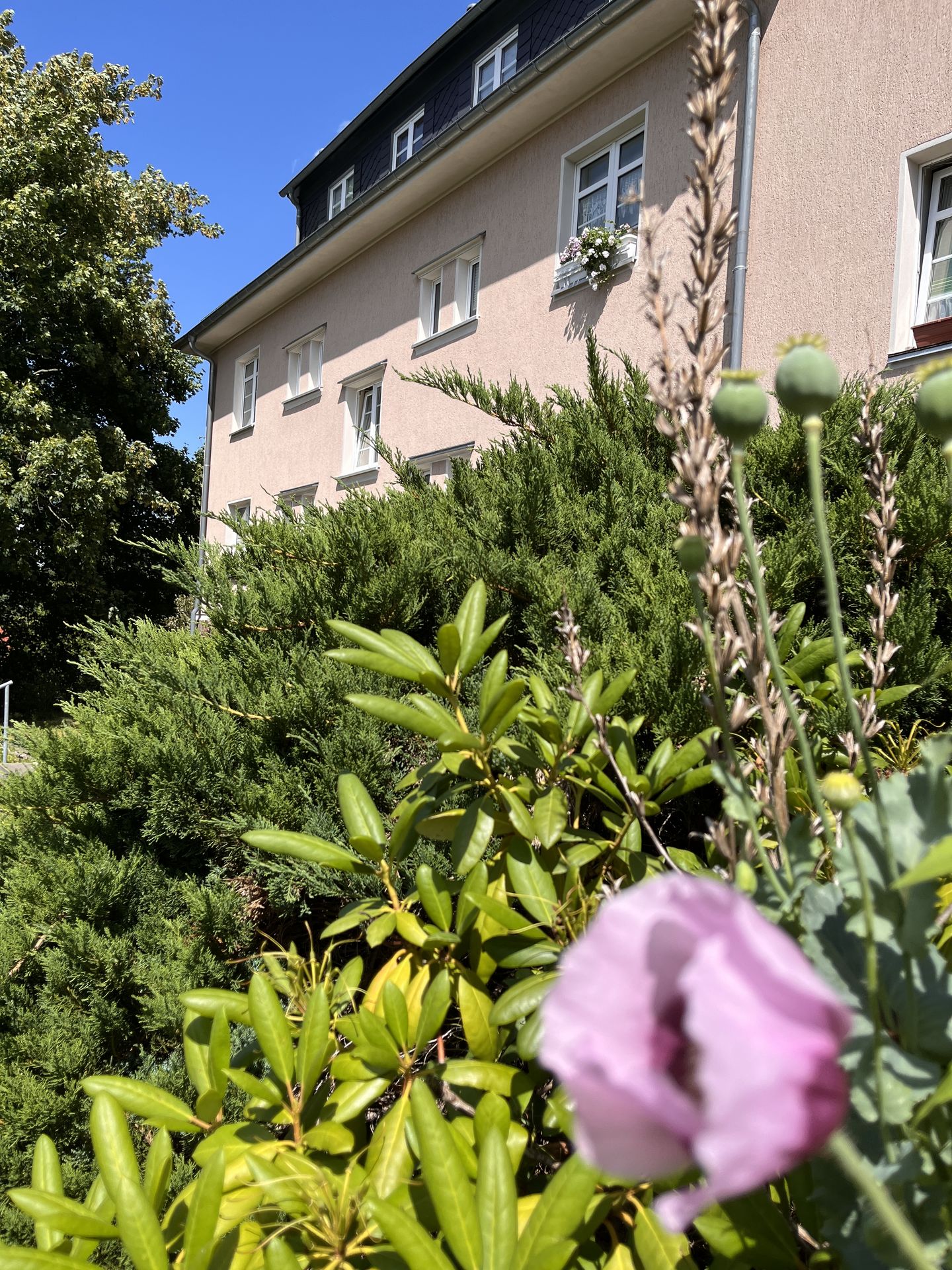 Modern Living – Barrierefreie Traumwohnung mit Parkplatz vor der Haustür