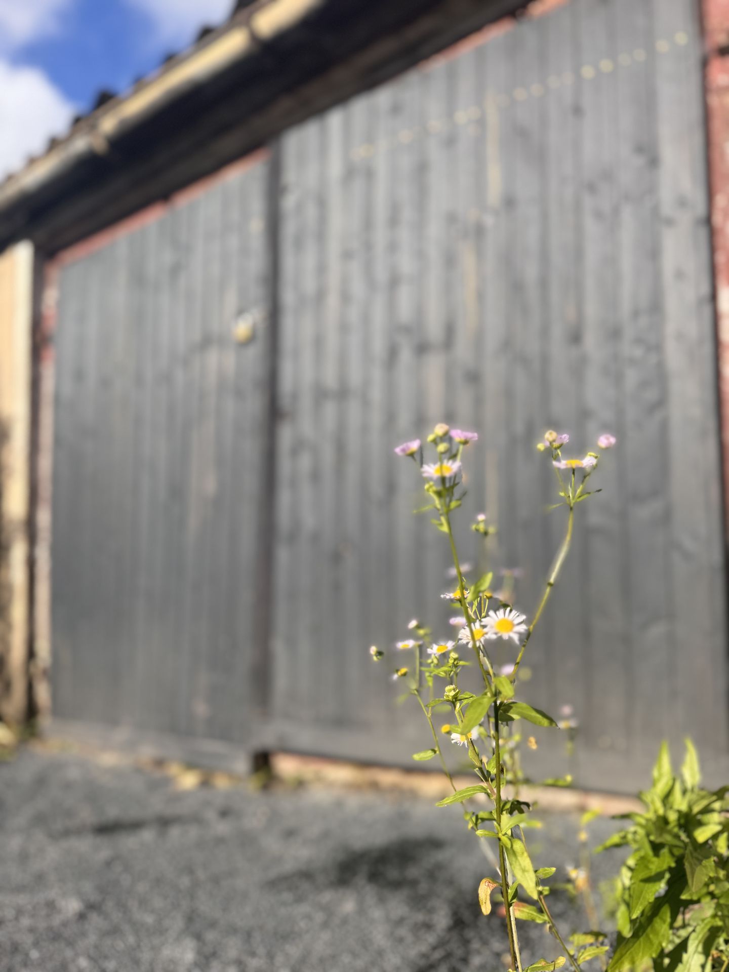 Leerstehende Garage in ruhiger Lage von Limbach-Oberfrohna